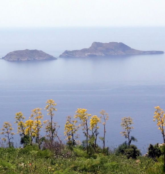 Νήσοι Παξιμάδια