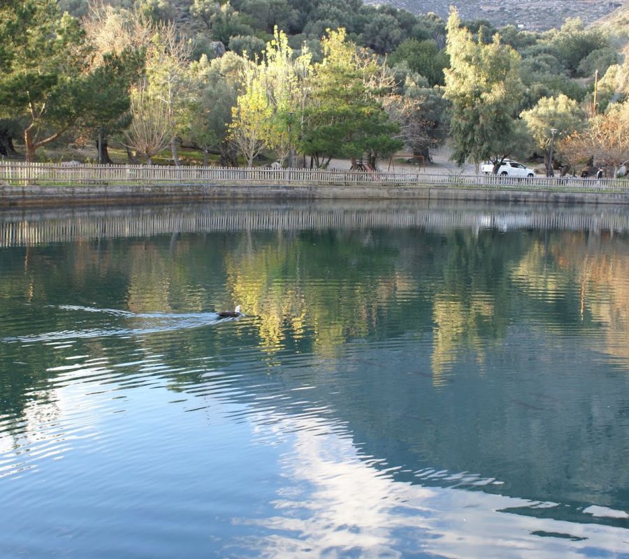 Zaros lake