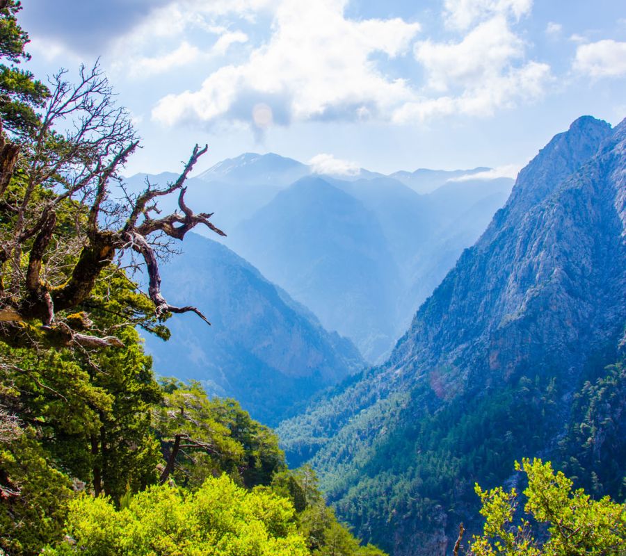 Samaria Canyon