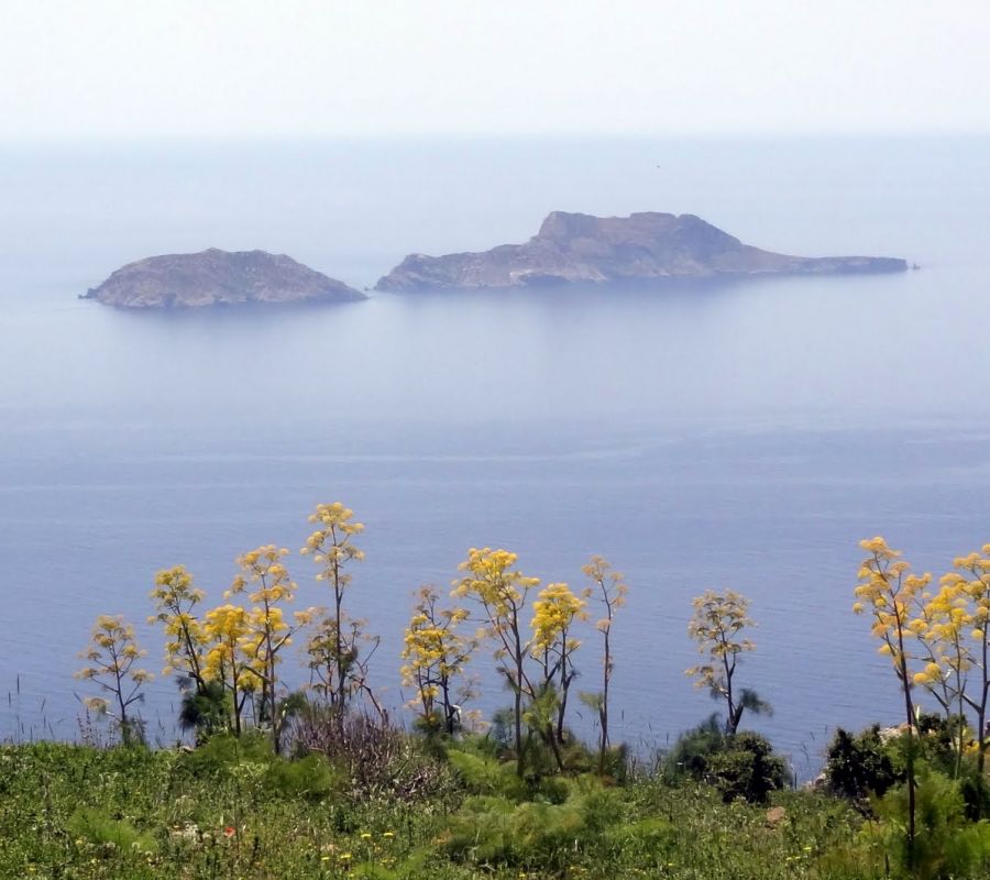 Νήσοι Παξιμάδια